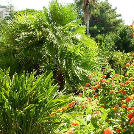 Hotel La Pinede Ajaccio  Bagian luar foto