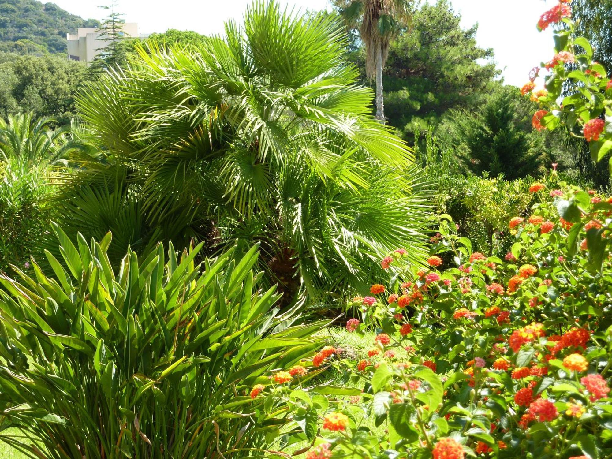 Hotel La Pinede Ajaccio  Bagian luar foto